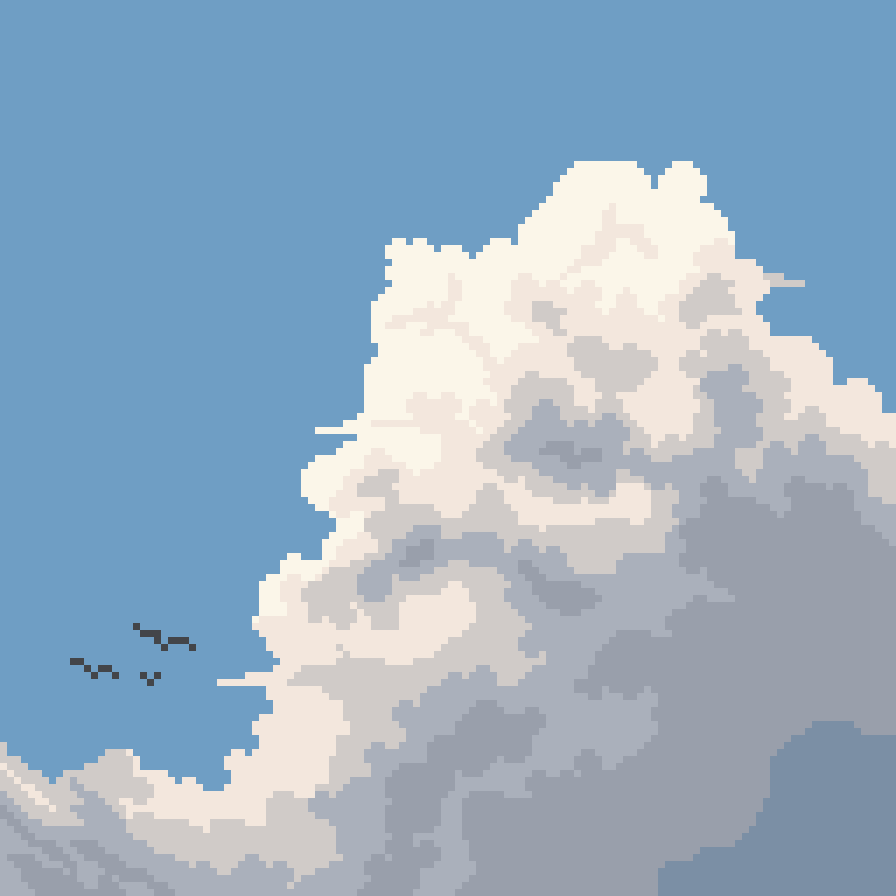 Birds