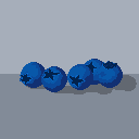 Blueberries